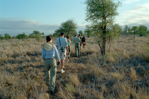 Safari walk
